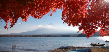 Lake Kawaguchiko (Mount Fuji), View on Mount Fuji and the lake in autumn