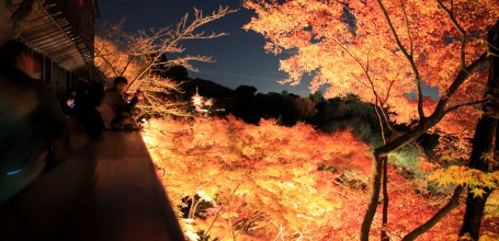 Kiyomizu-dera, Momiji light-up 8
