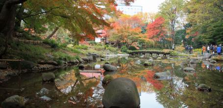 Koishikawa Korakuen (Tokyo) in autumn