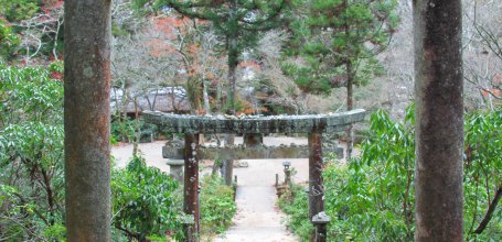 Momijidani Park (Miyajima), Stone torii gates