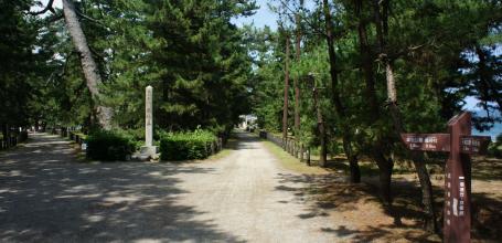 Amanohashidate, Path on the sandbar under the pine trees 2