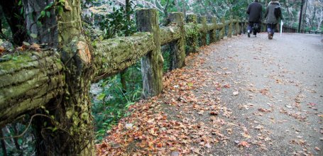 Minoh Park (Osaka), Walking path in autumn 3