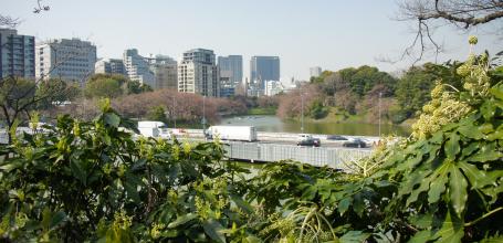 Chidorigafuchi in Tokyo, View on the urban traffic