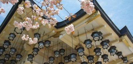 Namba Yasaka-jinja (Osaka), Prayer Hall and cherry trees in spring