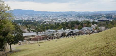 Mount Wakakusayama (Nara), View on Nara Park and the city 2