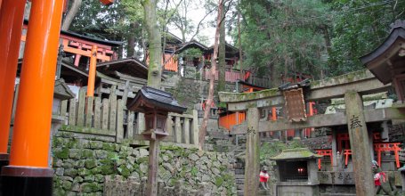 Fushimi Inari Taisha in Kyoto, Shrines and torii gates