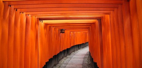 Fushimi Inari Taisha (Kyoto), Torii gate tunnel 3