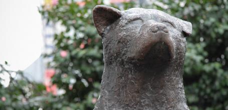 Hachiko (Tokyo), The Statue of Shibuya’s Faithful Dog