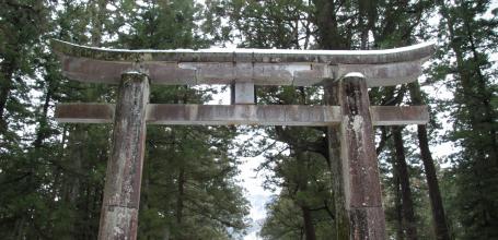 Toshogu (Nikko), Great torii gate at the entrance of the site