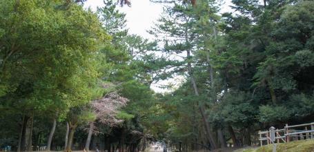 Nara Park (Nara)