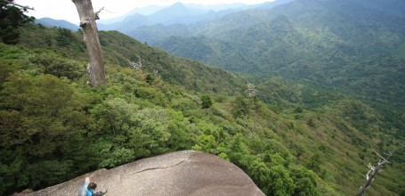 Yakushima 5