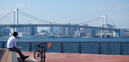 Toyosu-Gururi Park and Rainbow Bridge View 2