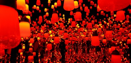 teamLab Borderless, MORI Building DIGITAL ART MUSEUM, Odaiba,Tokyo 7