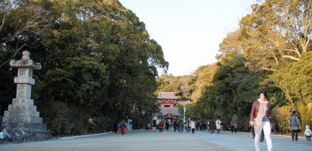 Tsurugaoka Hachimangu (Kamakura), Central pathway in the shrine's grounds