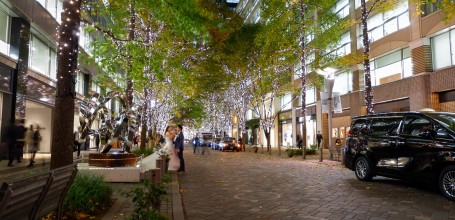 Marunouchi, Naka-dori Avenue at night