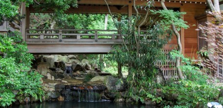 Chofu, Jindai-ji, a wooden footbridge