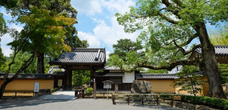 Kyoto during Coronavirus Outbreak in June 2020, Kinkaku-ji 2