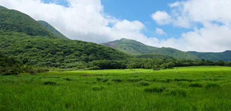 Tadewara Wetlands, Aso-Kuju National Park (Oita)