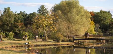 Showa Memorial Park (Tokyo)