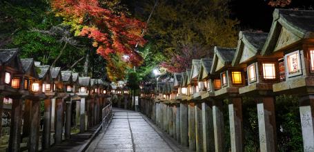 Chogosonshi-ji Shigisan in Nara at night