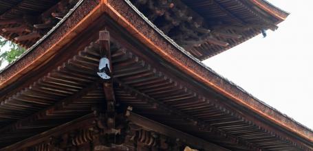 Jojakko-ji (Kyoto), Tahoto Pagoda
