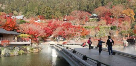 Katsuo-ji temple in Minoh (Osaka) in autumn 3