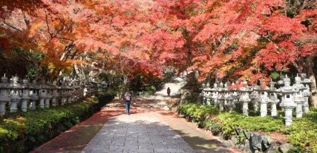 Minoh in autumn, alley of red maples and stone lanterns at Katsuo-ji temple