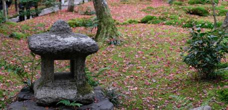 Gio-ji, moss and maple trees' temple in Arashiyama (Kyoto) 4