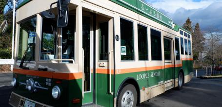 Sendai, Loople bus