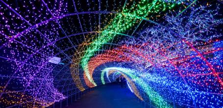 Yomiuriland, Illuminated tunnel in winter