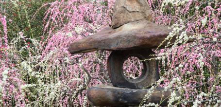Jonan-gu Shrine (Southern Kyoto), Weeping Plum Trees (Shidare Ume) Forest
