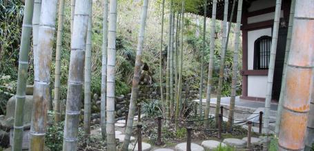 Hase-dera (Kamakura), Bamboo grove