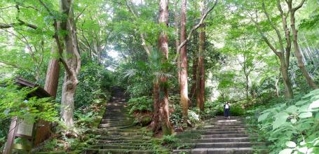 Zuisen-ji (Kamakura), Fork dividing the path in Otokozaka and Onnazaka