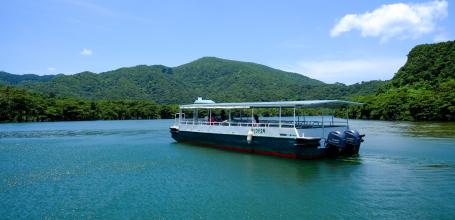 Iriomote (Yaeyama - Okinawa), Cruise on Urauchi River