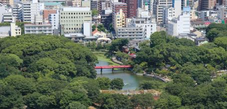 View on Kawazokoike pond in Tennoji Park from Tsutenkaku Tower