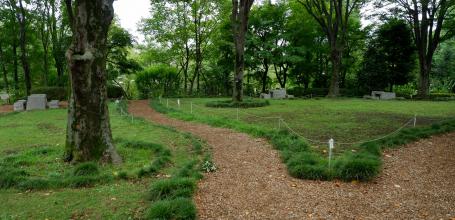 Akatsuka Botanical Garden (Narimasu, Tokyo), Grass lawn and zelkovas
