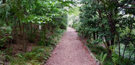 Akatsuka Botanical Garden in Narimasu (Tokyo) 2