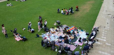 Tokyo Midtown (Akasaka), Midtown Garden's lawn in spring
