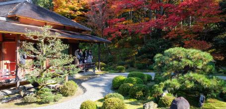 Manshu-in (Kyoto), View on Koshoin and the garden in autumn