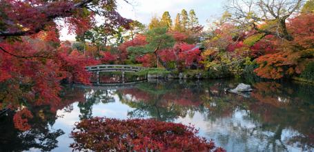 Eikan-do Temple (Kyoto), View on the pond and the momiji in autumn