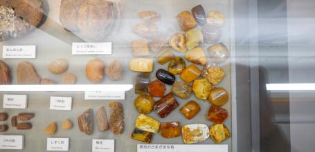 Kuji Amber Museum, Amber gemstone displays 3