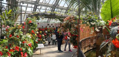 Kyoto Botanical Gardens, Tropical greenhouse