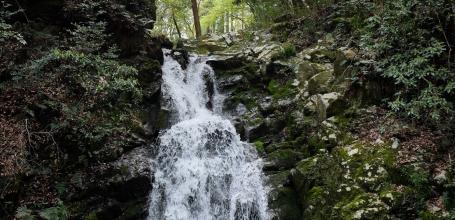 Settsukyo Park (Osaka), Shirataki Waterfall