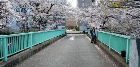 Omokage-bashi Bridge nowadays