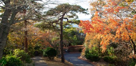 Walking path in Kanzanjicho (Hamamatsu)