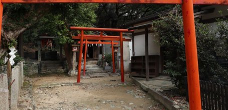 Wakaura Tenmangu (Wakayama), Small torii gates in the shrine's grounds