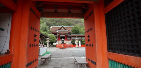 Kishu Tosho-gu (Wakayama), View on the main building from Romon Gate