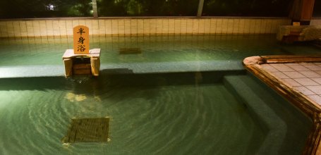 Atsumi Onsen Bankokuya (Tsuruoka), Indoor bath 2