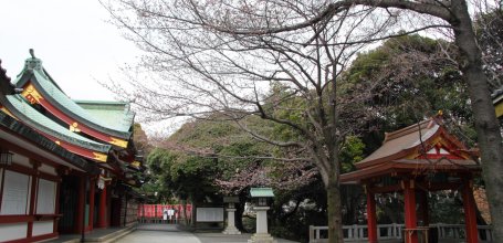 Hie-jinja (Tokyo), Main esplanade of the shrine