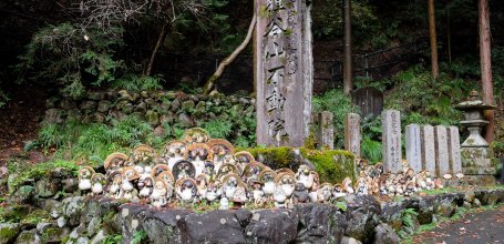 Tanukidani-san Fudo-in (Kyoto), Tanuki statues in the temple's grounds